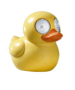 Lucky Ducky!