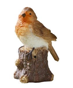 Robin Song LED