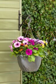 https://az.prshots.es/contents/archives/3552/1530/images/thumb350x287_auto/dobbies-garden-centres_2-for-gbp15-spring-hanging-pots-lifestyle_b1462_thumb.jpg