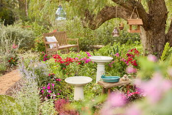 https://az.prshots.es/contents/archives/3552/1530/images/thumb350x287_auto/dobbies-garden-centres_somerset-bench-gbp199_thumb.jpg