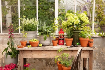 https://az.prshots.es/contents/archives/3552/1530/images/thumb350x287_auto/dobbies_garden_centres_summer-prestonhall-gyo-tomato-lifestyles__bb818_thumb.jpg