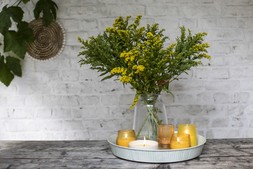 CITRONELLA CANDLES