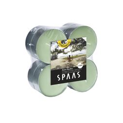 CITRONELLA MAXI TEALIGHTS PACK OF 8 LEMON GRASS &pound;8.99