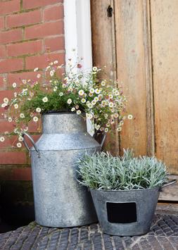 GALVANISED MILK CHURN 42CM &pound;39.99
