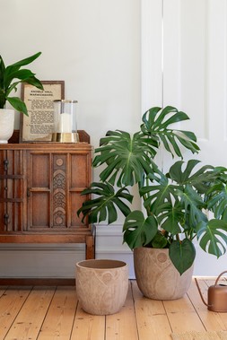 KEW EMBOSSED WASHED TERRACOTTA PLANTER &pound;39.99 - &pound;59.99