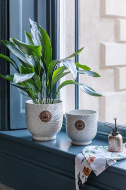KEW LEAF EMBOSSED IVORY CORK PLANTER &pound;29.99 - &pound;39.99