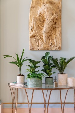 KEW STONEWARE SAGO PALM PLANTERS IN IVORY & OLIVE &pound;17.99- &pound;29.99,KEW STONEWARE SAGO PALM BOWL IVORY & SAGE &pound;44.99