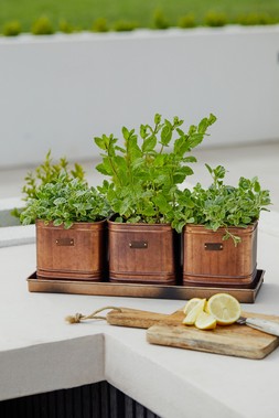 OUTDOOR HAMPTON COPPER SET OF 3 HERB PLANTERS WITH TRAY INDIVIDUAL PLANTER - D13CM &pound;49.99
