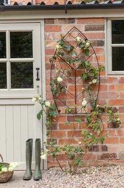 OUTDOOR LEAF TRELLIS BRONZE H100CM W80CM &pound;59.99