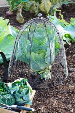 OUTDOOR WIRED PLANT PROTECTOR ZINC H48CM W36CM &pound;34.99