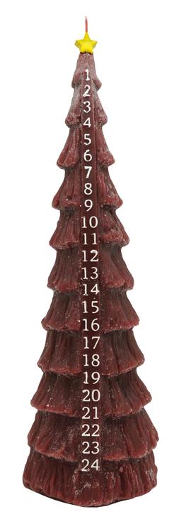 Advent Christmas Tree Candle Bordeaux &pound;16.99