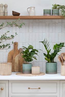 AVONLEA RIPPLED PLANTERS IN GREEN & IVORY £6.99 - £16.99