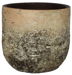 Albero Planter H14cm D16cm &pound;14.99, H19cm D21cm &pound;24.99, H26cm D28cm &pound;39.99
