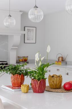 ALYSSA TULIP PLANTER £3.99 -£12.99