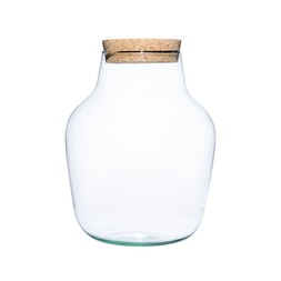 Angluar Glass Small Terrarium Diy Kit H22cm D17cm &pound;34.99
