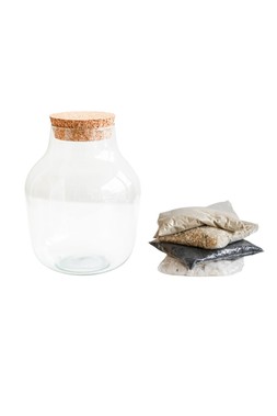 Angular Glass Small Terrarium DIY Kit &pound;34.99 1