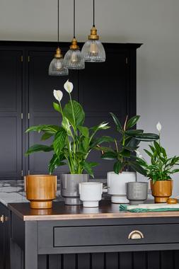 ARIES PLANT POTS from &pound;19.99 - &pound;29.99