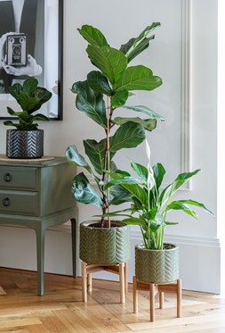 Aspen Chevron Olive Planter H40cm D28cm &pound;59.99