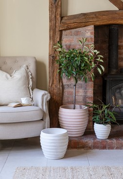 Beatrice White Planter H24cm D24cm &pound;29.99