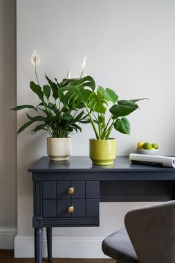 Botanist Lime Leaf Embossed Planter H15cm D17cm &pound;14.99