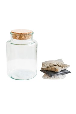 Bottle Shape Large Terrarium DIY Kit H26.5cm W19cm &pound;39.99