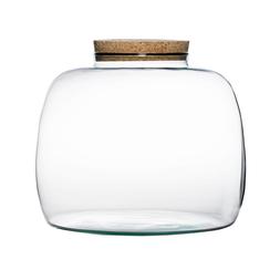 Bowl Shape Large Terrarium Diy Kit H23cm D30cm &pound;69.99