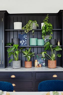 Celine Recycled Pots and Planters