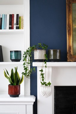 Clovelly Ivory Planter H11cm D10cm &pound;6.99, Clovelly Olive Planter H11cm D10cm &pound;6.99, Clovelly Rust Planter H11cm D10cm &pound;6.99, Clovelly Sapphire Planter H11cm D10cm &pound;6.99