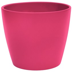 Cyclamen Planter Pink H10cm D12cm &pound;3.99