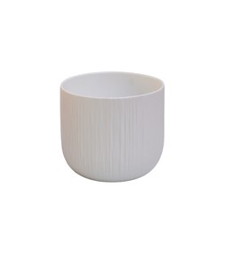 Cyclamen Planter White 15cm &pound;3.99