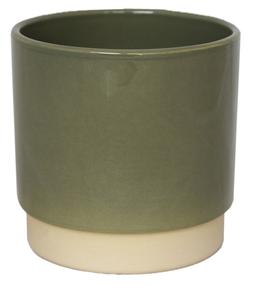 Enos Pot Green H7.5cm D7cm &pound;3.99, H10.5cm D10cm &pound;5.99, H11.5cm D11.5cm &pound;6.99, H13.5cm 13cm &pound;7.99