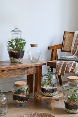GLASS BELL JAR OPEN TERRARIUM LARGE £59.99, TEARDROP GLASS LID TERRARIUM £79.99