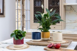 GLOSSY POTS CREAM BASE in WHITE, MUSTARD, RED & NAVY £5.99 Each