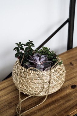 Hanging Seagrass Planter 16cm &pound;15.99 1