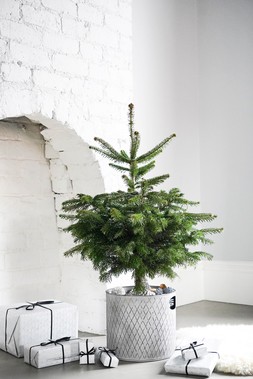 AW25 Ivyline - INDOOR ZINC PLANTER H23CM W23CM
