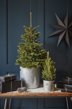 Indoor Christmas Tree Bucket With Star In Galvanised Steel H13Cm W14.5Cm &pound;15.99