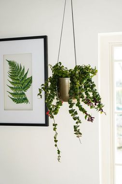 KEW MATT BRASS HANGING PLANTER SMALL WITH HOOK 14CM &pound;27.99