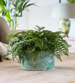 KEW STONEWARE SAGO PALM BOWL OLIVE 24CM &pound;44.99