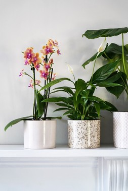 Lazzaro Linen Effect Planter H13cm D15cm &pound;11.99 1