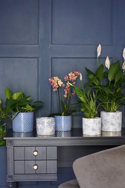 Lazzaro Navy Garland Planter H13cm D15cm &pound;11.99