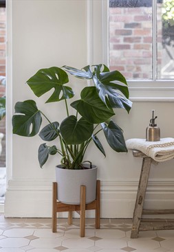 Lisbon Pot And Stand White D26cm &pound;49.99