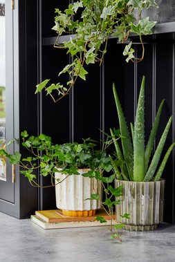Lugano Scalloped Green Reactive Planter H13cm D13cm &pound;12.99