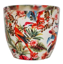 Monza Tropical Parrot Planter H13cm D13cm &pound;8.99, H15.5cm D15.5cm &pound;11.99, H17cm D17cm &pound;15.99