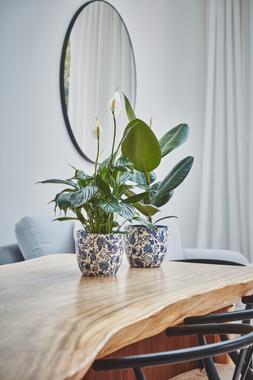 Monza Vintage Blue Planter H15.5cm D15.5cm &pound;11.99
