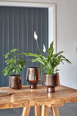 OPULENT METALLIC PLANTERS