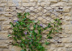 OUTDOOR HONEYCOMB TRELLIS BRONZE SMALL &pound;59.99