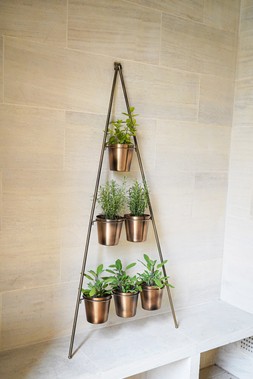 OUTDOOR VERTICAL GOLD METAL WALL PLANT STAND WITH PLANTERS H148CM W69CM PLANTER SIZE EXTERNAL DIAM 14CM &pound;149.99