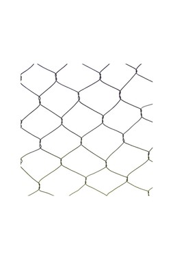 OUTDOOR WIRE NETTED PLANT PROTECTOR BRONZE H48CM W36CM