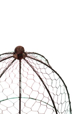 OUTDOOR WIRE NETTED PLANT PROTECTOR BRONZE H55CM W47CM