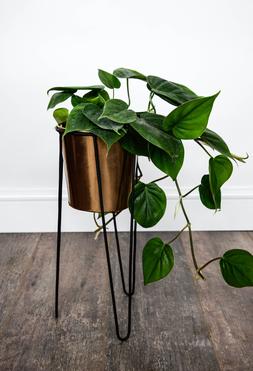 Pianta Stand In Black H25cm D17cm &pound;14.99 1